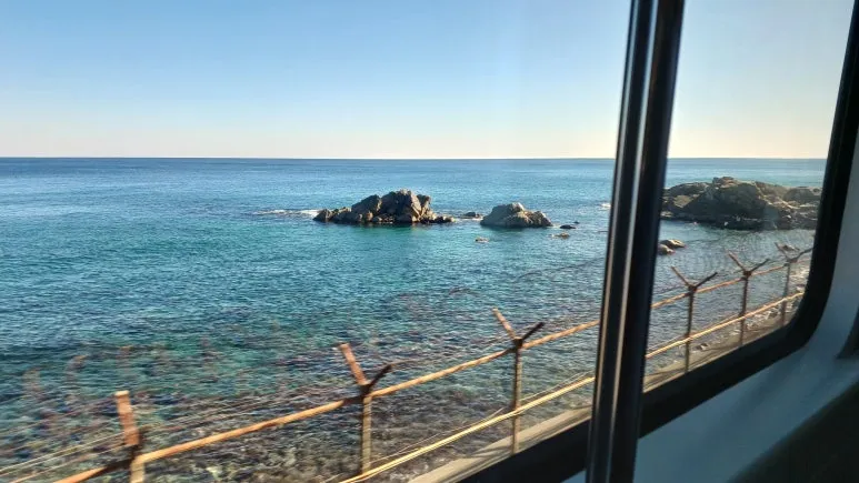 20251121_111434.jpg?type=w773