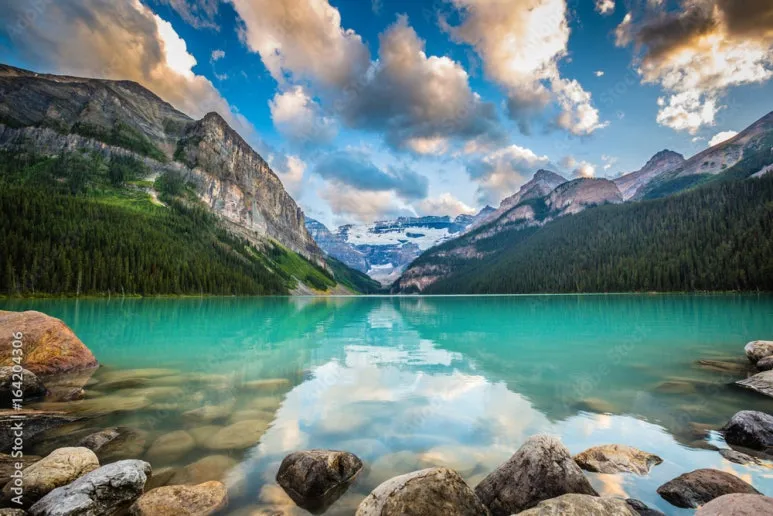 1000_F_164204306_IkND84KPFASNWEm9o73TrpjwNfRwQpWY.jpg?type=w773