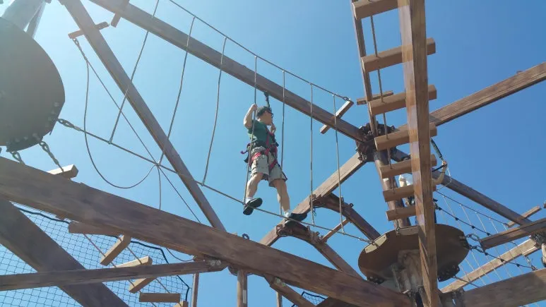 20180430_082454.jpg?type=w773