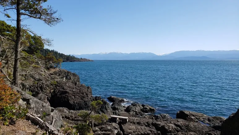 2020-12.jpg?type=w773