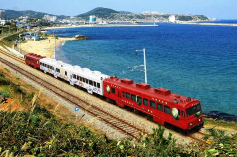 SmartSelect_20251121_141755_ChatGPT.jpg?type=w773