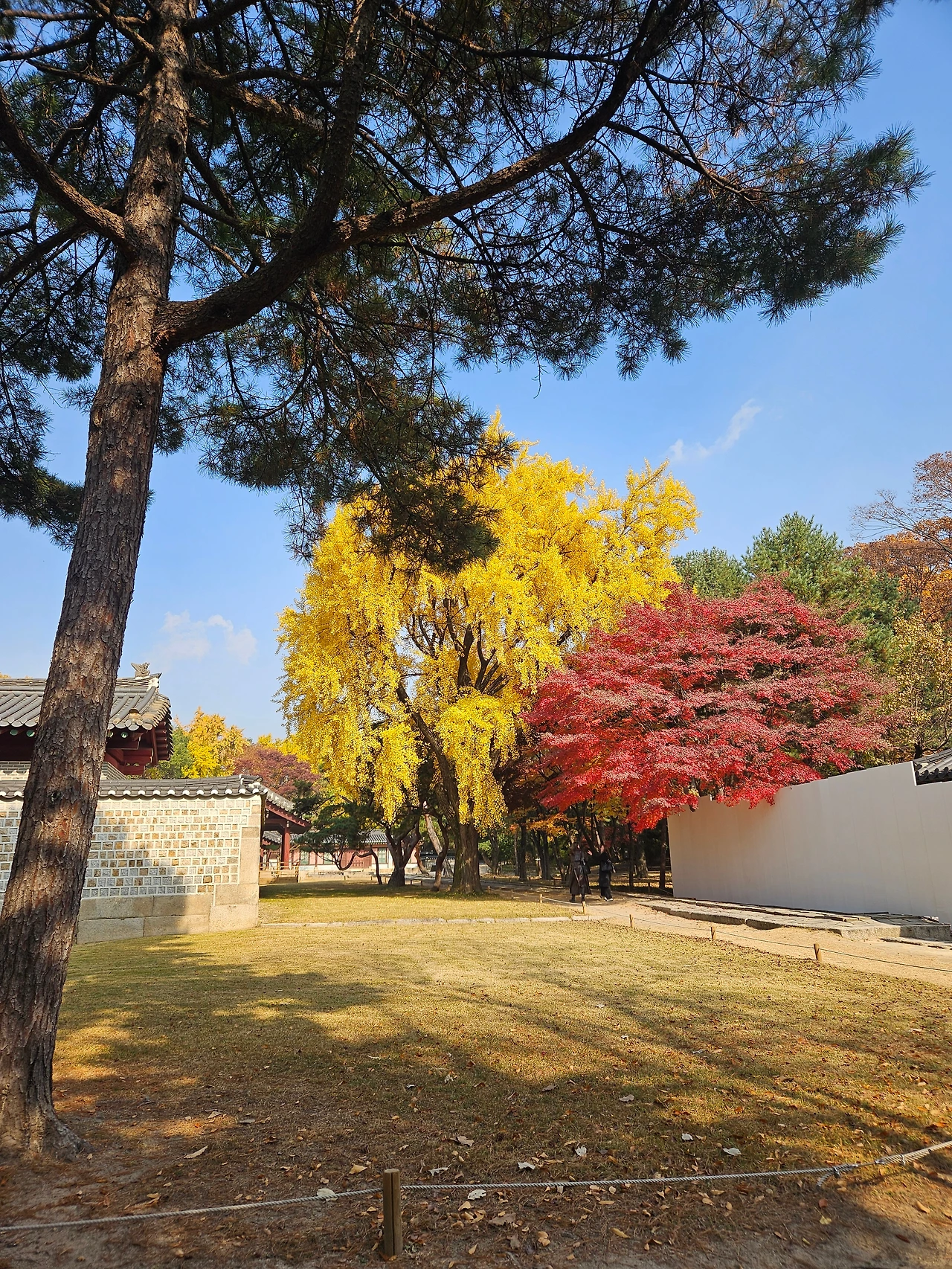 KakaoTalk_Photo_2025-12-13-11-04-34 010.jpeg