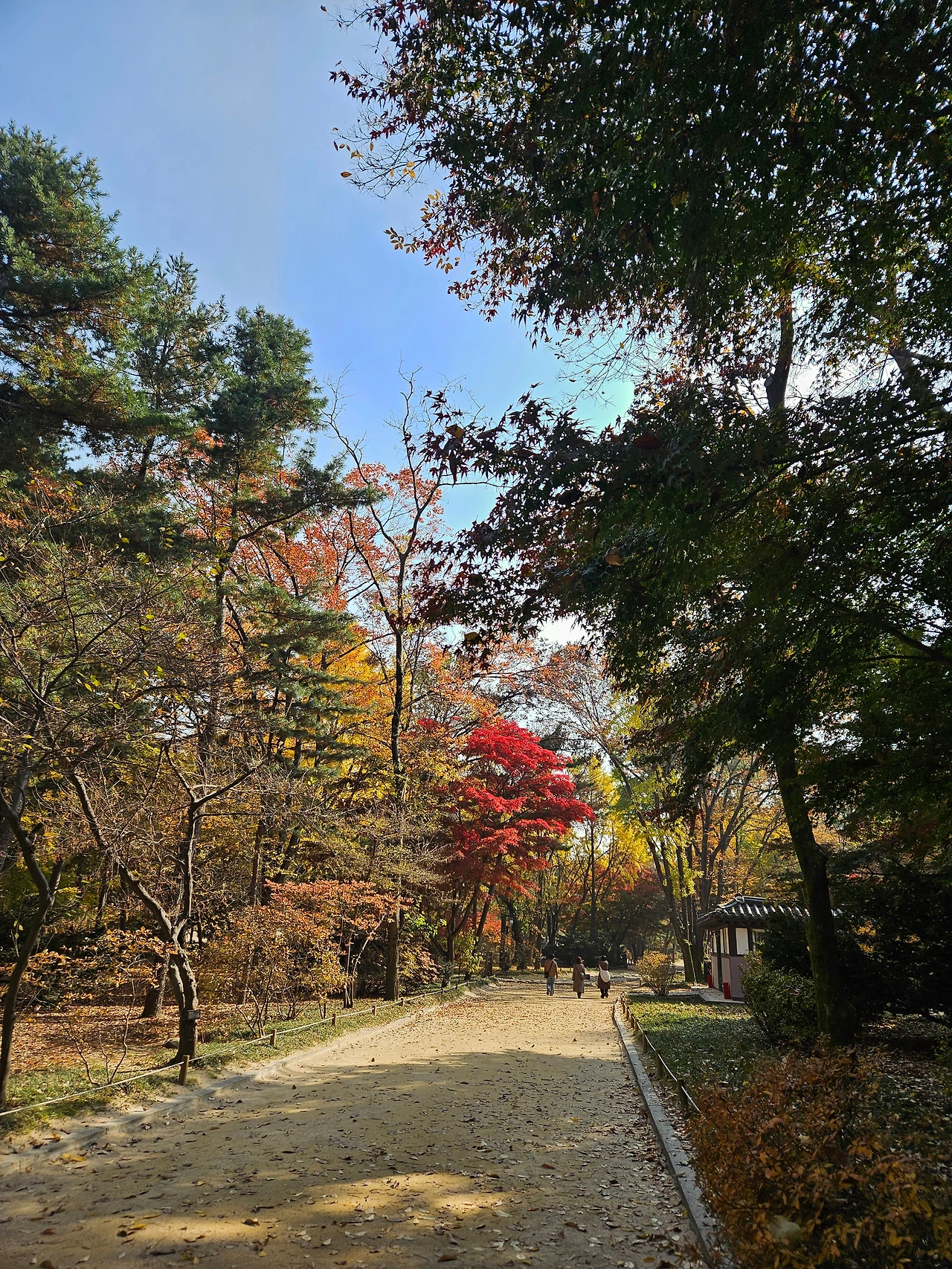 KakaoTalk_Photo_2025-12-13-11-04-23 003.jpeg