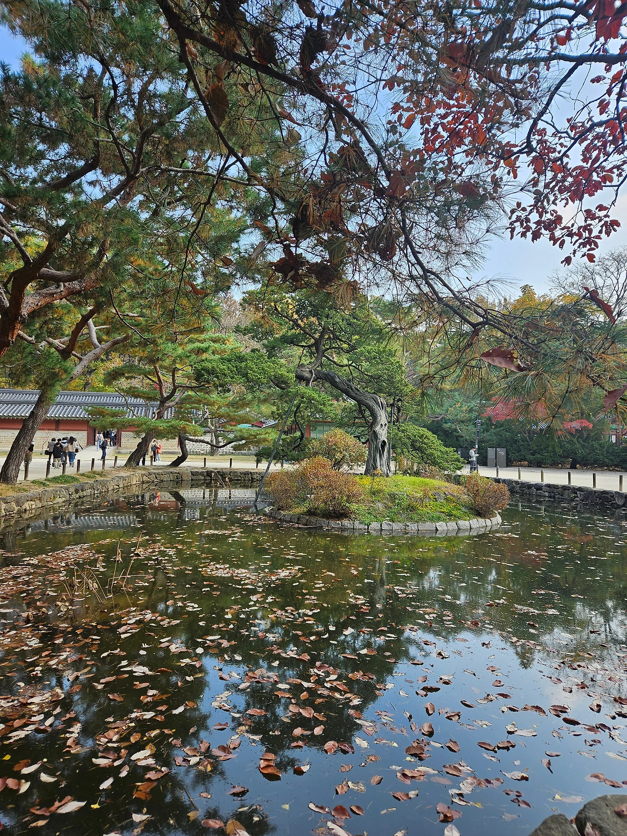 KakaoTalk_Photo_2025-12-13-11-04-40 013.jpeg