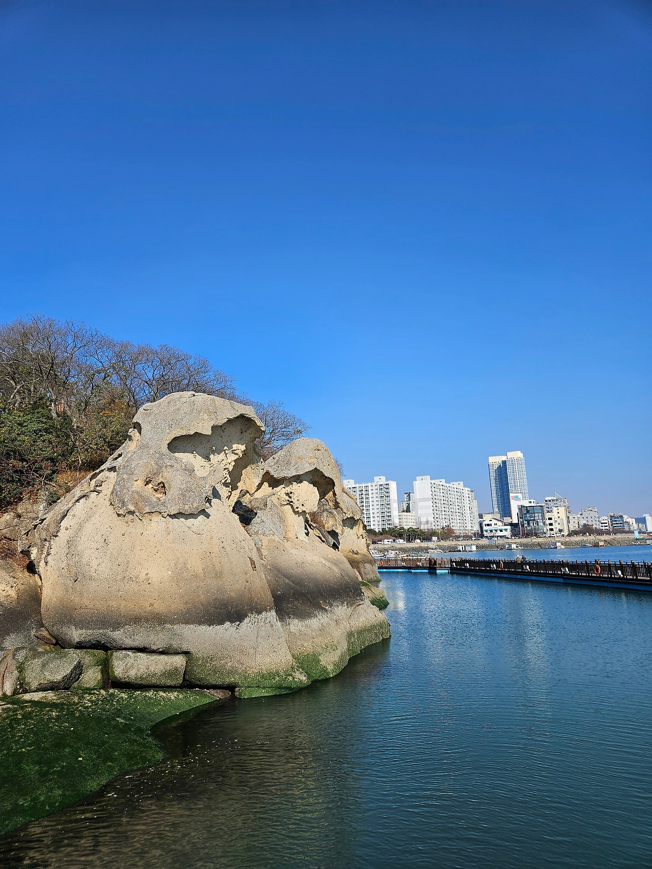 KakaoTalk_Photo_2025-12-30-23-29-32 006.jpeg