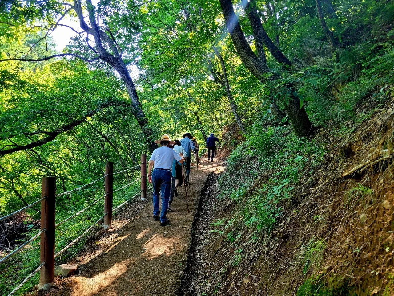 1_fbfUd018svc1a5sr8ywe9nqk_qj5d0d.jpg?type=e1920_std