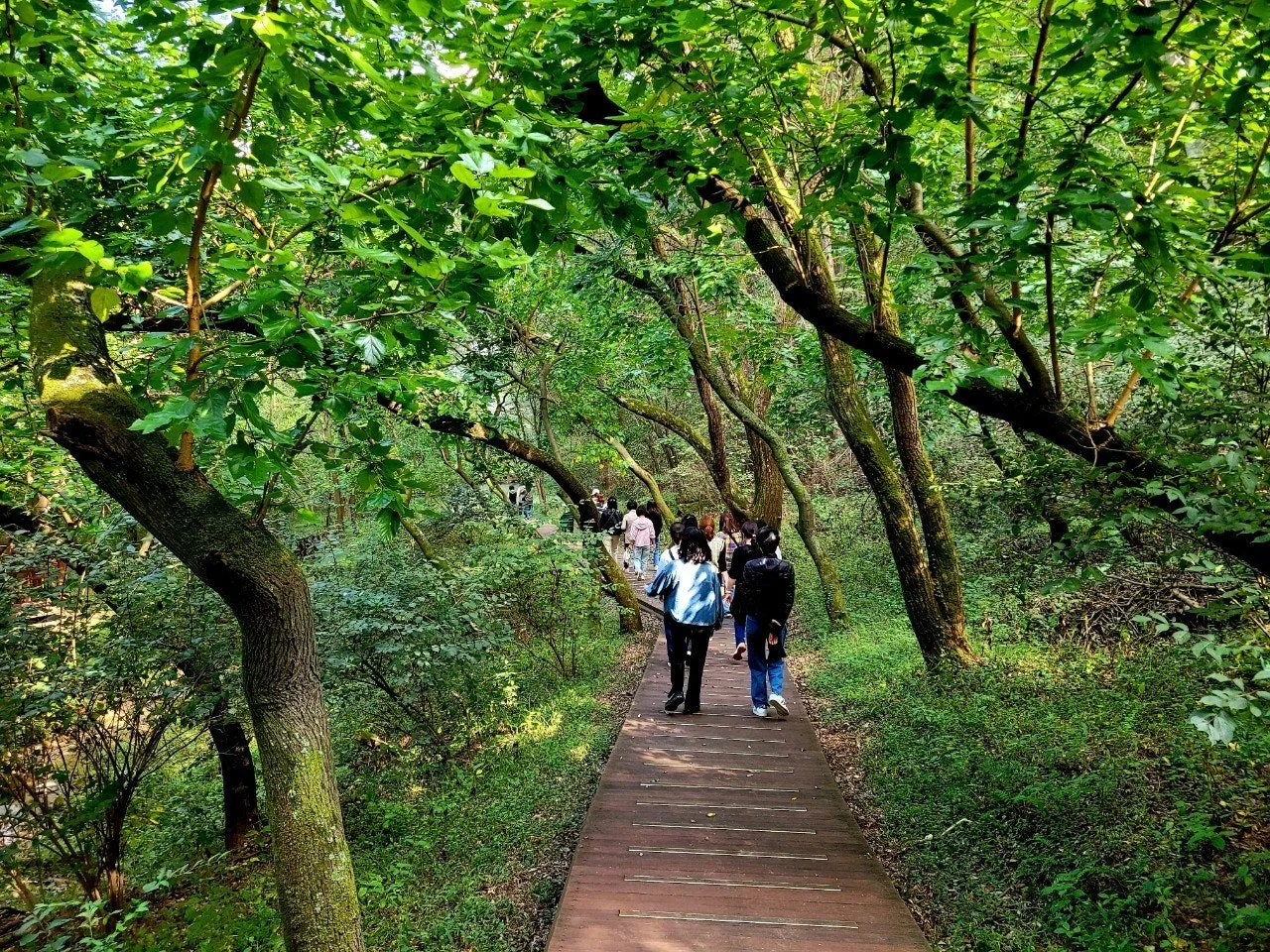 e_bbeUd018svc188abatoverty_qj5d0d.jpg?type=e1920_std