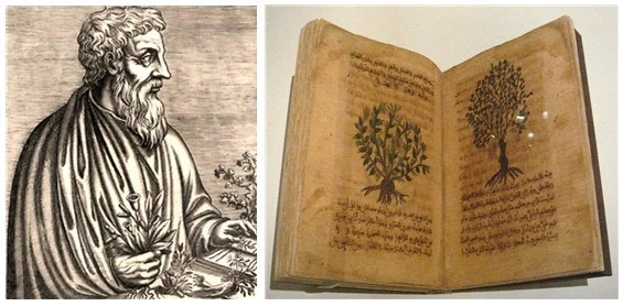 2_40gUd018svc163u7fzm24saz_qj5d0d.png?type=e1920_std