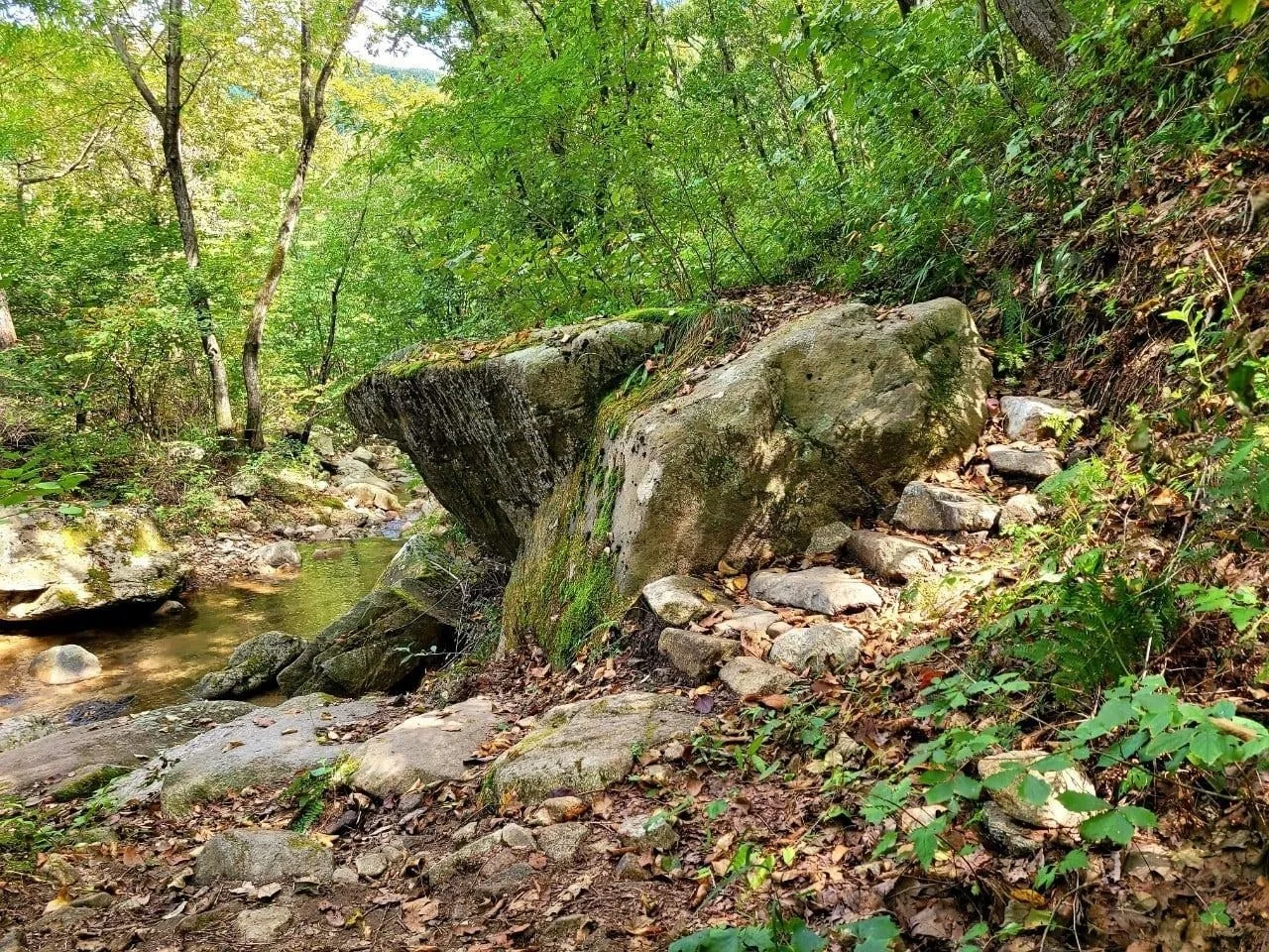 f_64dUd018svcde5a60qsutxp_qj5d0d.jpg?type=e1920_std