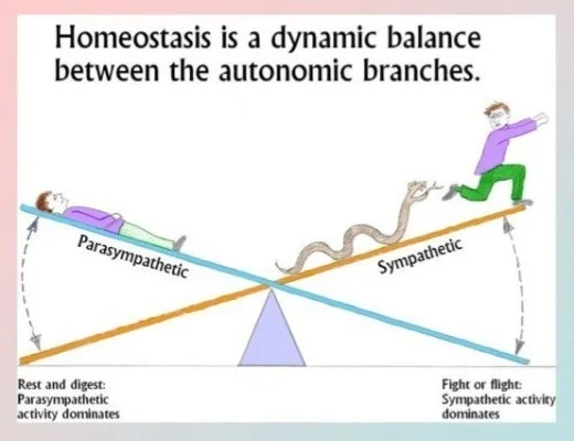 c_fg9Ud018svcld7j59jkii8l_qj5d0d.jpg?type=w520