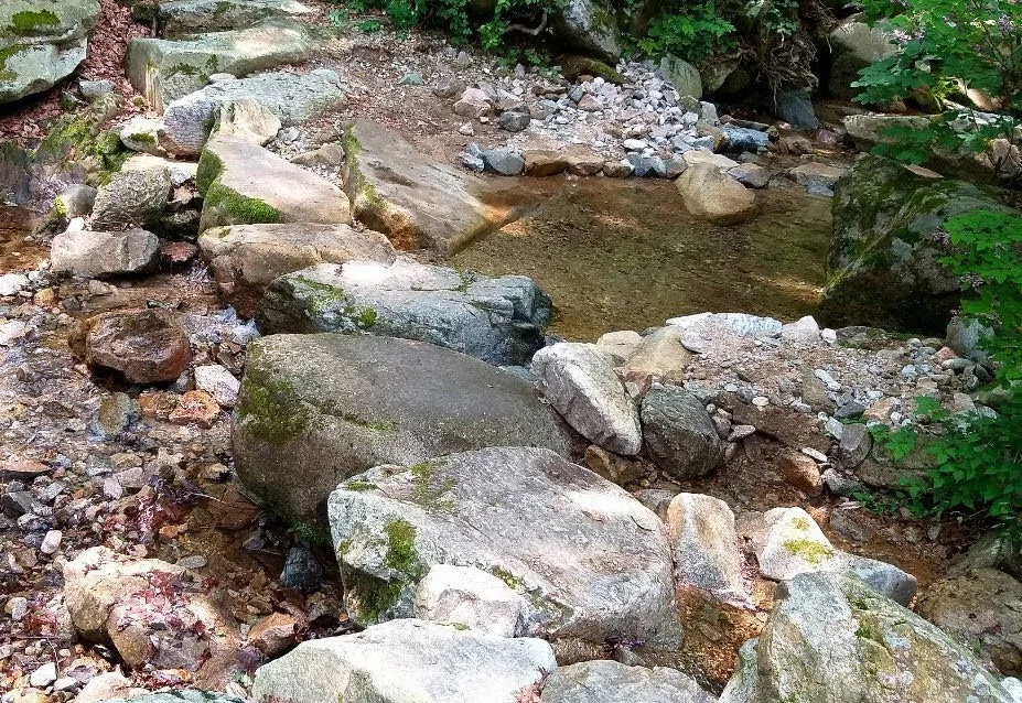 e_d4dUd018svcdur6zsbsctxq_qj5d0d.jpg?type=e1920_std