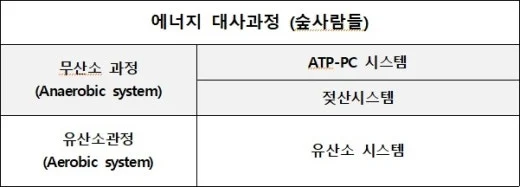 h_6d4Ud018svc1qpz5wn3yizi3_qj5d0d.png?type=w520