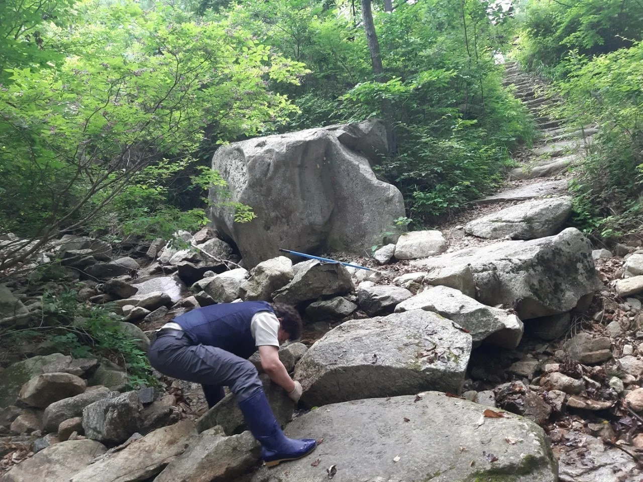 7_f4eUd018svcj9bdsg5cj1py_qj5d0d.jpg?type=e1920_std