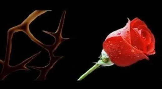 b_df8Ud018svcfnbdx2bz38sz_qj5d0d.jpg?type=w520