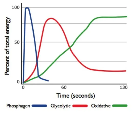 g_igcUd018svc9g57pxy2tywy_qj5d0d.png?type=w520