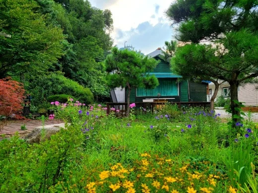 6_0ggUd018svc183a03gzpoehg_qj5d0d.jpg?type=w520