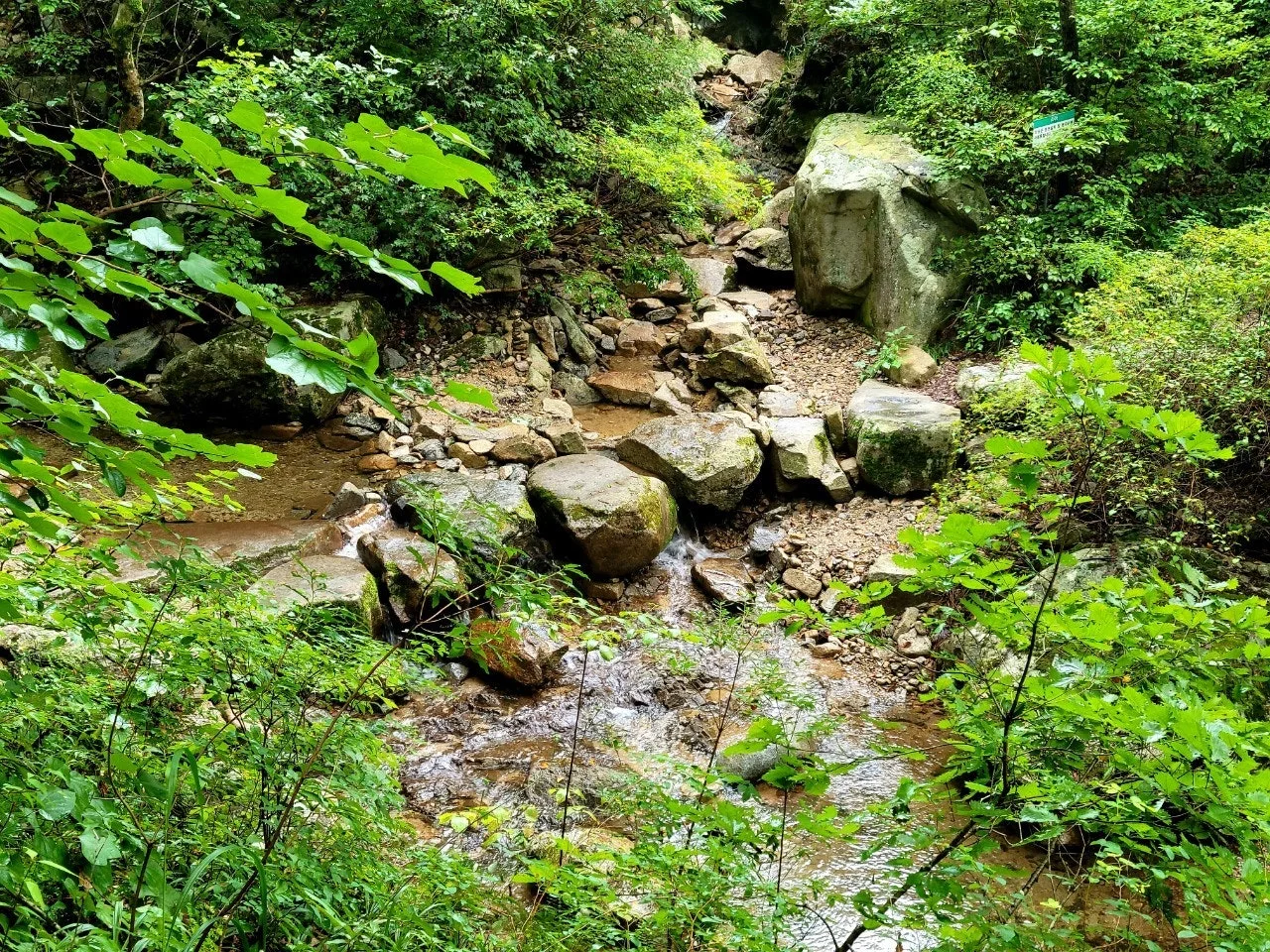 f_44dUd018svc16z1r6e45lygn_qj5d0d.jpg?type=e1920_std