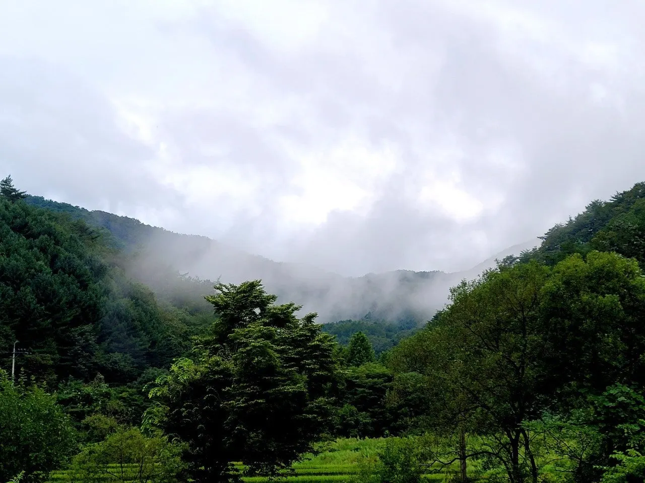 b_43jUd018svcyjofs1dftdsr_qj5d0d.jpg?type=e1920_std