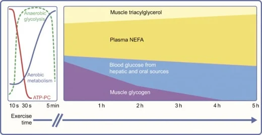 j_0gfUd018svc21i6p7sl0nf5_qj5d0d.png?type=w520