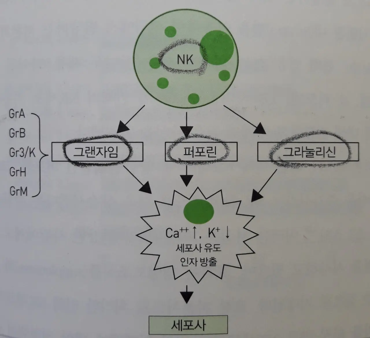 h_jb5Ud018svc6c81d6hawylm_qj5d0d.jpg?type=e1920_std