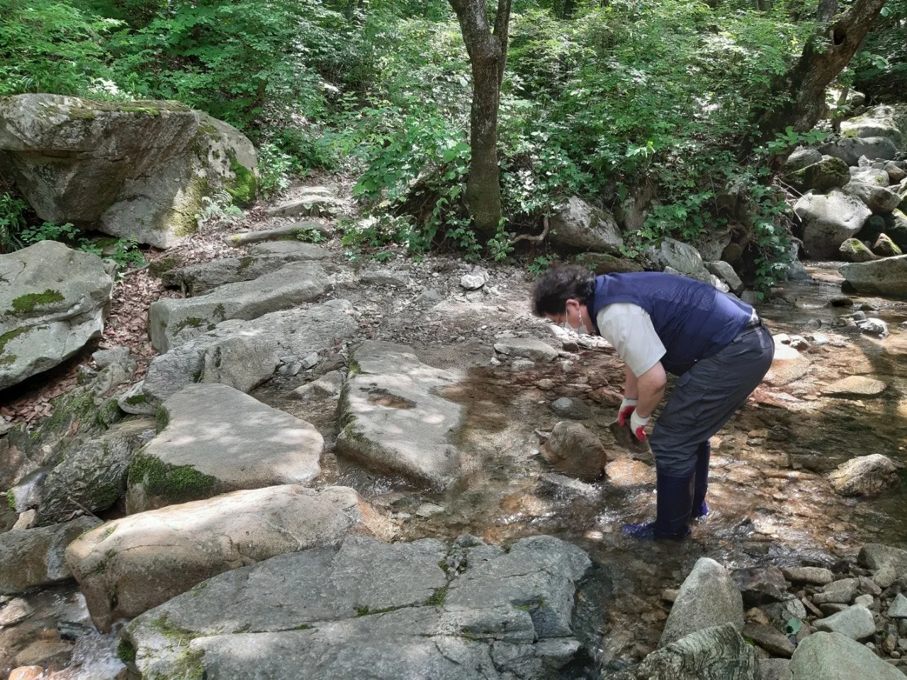 7_g4eUd018svc10lwbrdu4meva_qj5d0d.jpg?type=e1920_std