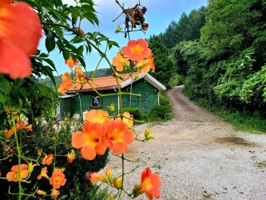 3_9ggUd018svc1gpxf03gg0clz_qj5d0d.jpg?type=w520