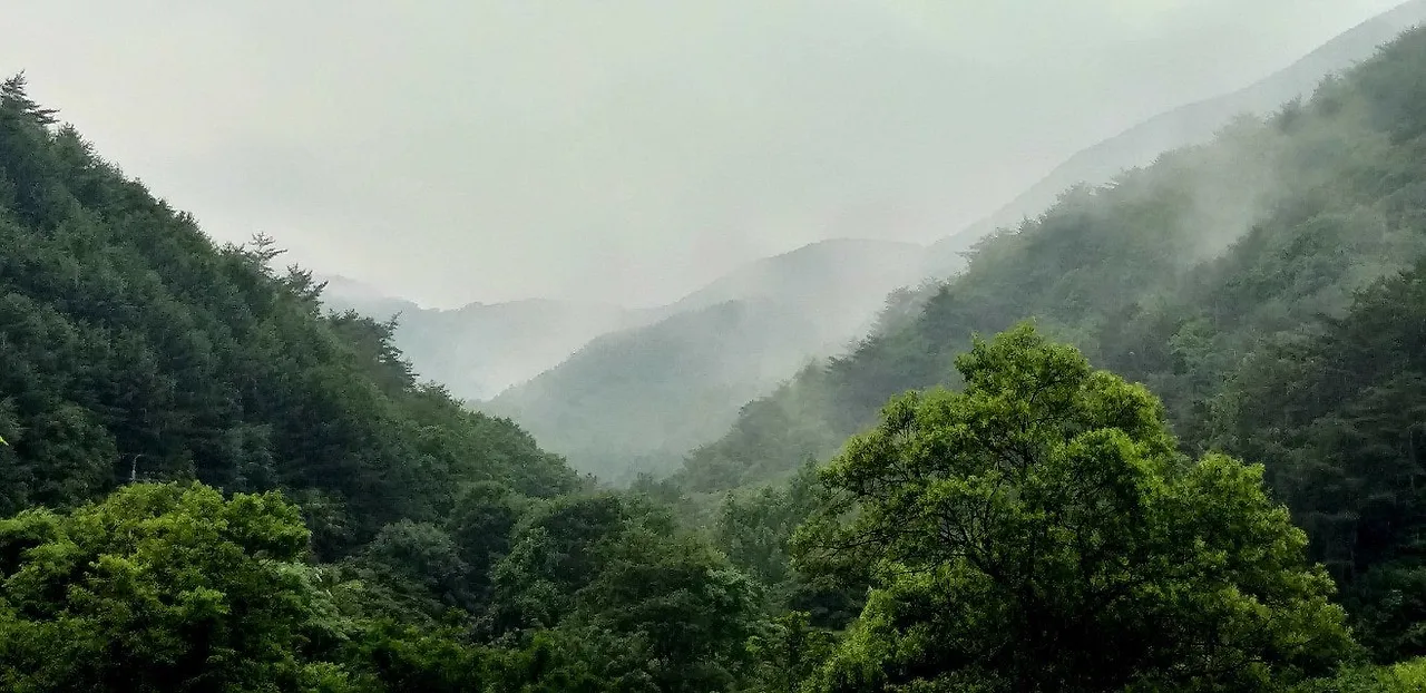 a_53hUd018svc1hp8ezxliwhz7_qj5d0d.jpg?type=e1920_std