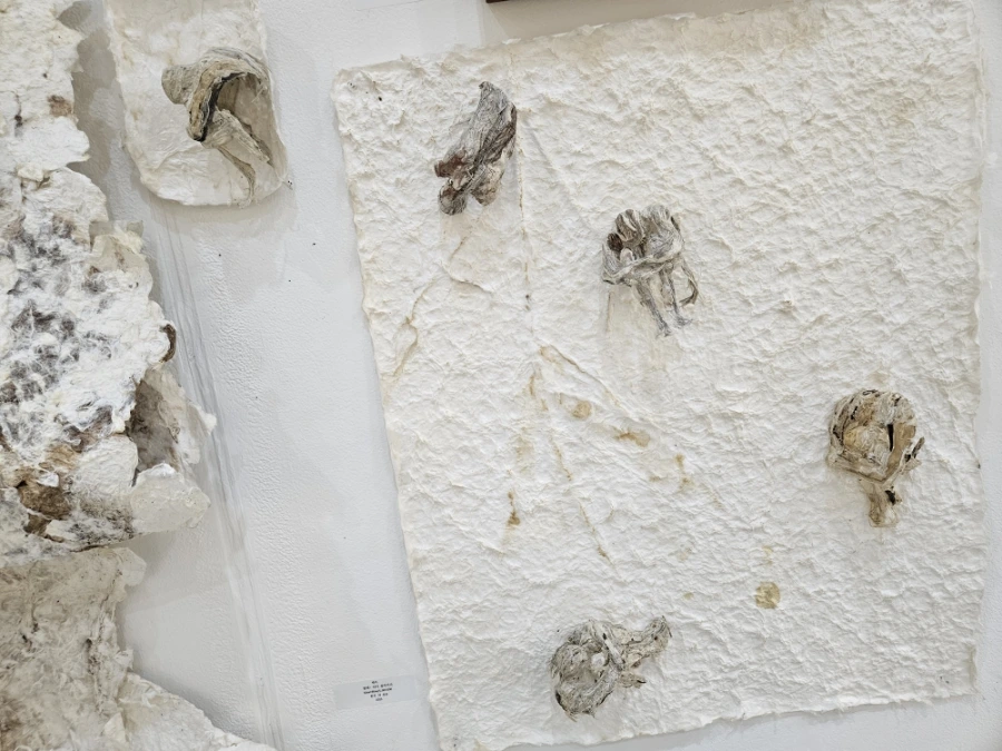 900%EF%BC%BF20251228%EF%BC%BF110721.jpg?type=w1