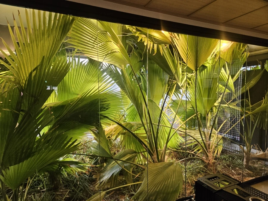 900%EF%BC%BF20251228%EF%BC%BF152156.jpg?type=w1