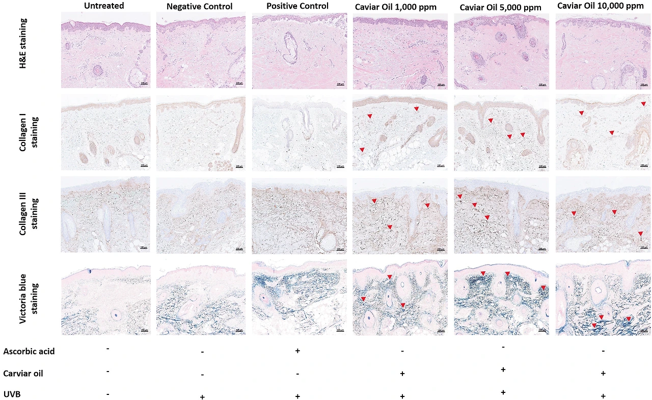 img.png?credential=yqXZFxpELC7KVnFOS48ylbz2pIh7yKj8&expires=1767193199&allow_ip=&allow_referer=&signature=mCXvLiSc%2BbLcoFW23Fgpx6ZtJ3o%3D