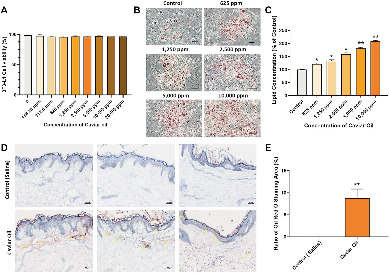 img.png?credential=yqXZFxpELC7KVnFOS48ylbz2pIh7yKj8&expires=1767193199&allow_ip=&allow_referer=&signature=X5YECMO7mRNyaYDFOzKaY4FpjHg%3D