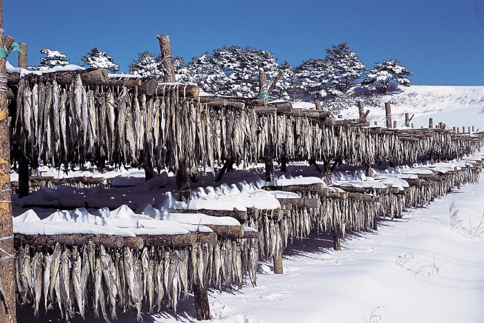 PhotoshopExtension_Image (1).jpeg