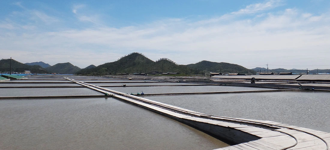 PhotoshopExtension_Image (2).jpeg