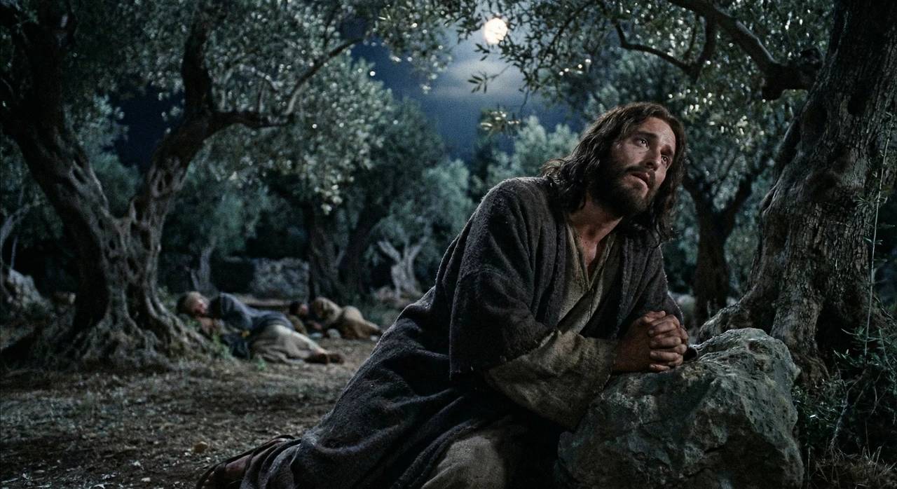 Gemini_Generated_Image_4t6m24t6m24t6m24.jfif