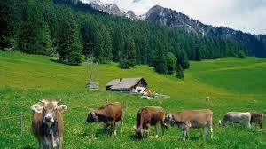 %EB%A7%88%EC%9D%B4%EC%97%94%ED%8E%A0%ED%8A%B8.png?type=w580