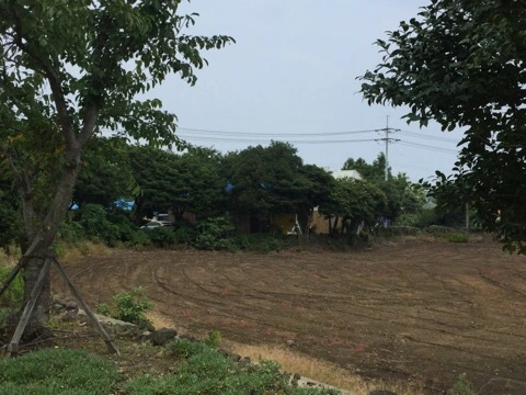 IMG_7474.jpg?type=w580