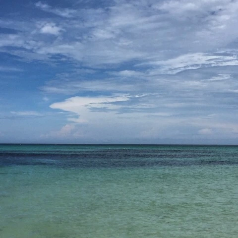 IMG_7778.jpg?type=w580