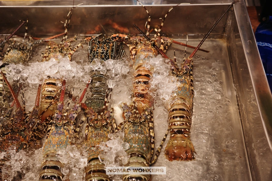 SE-826aa30d-cb16-4c61-a53b-ff48383a9bb0.jpg?type=w966