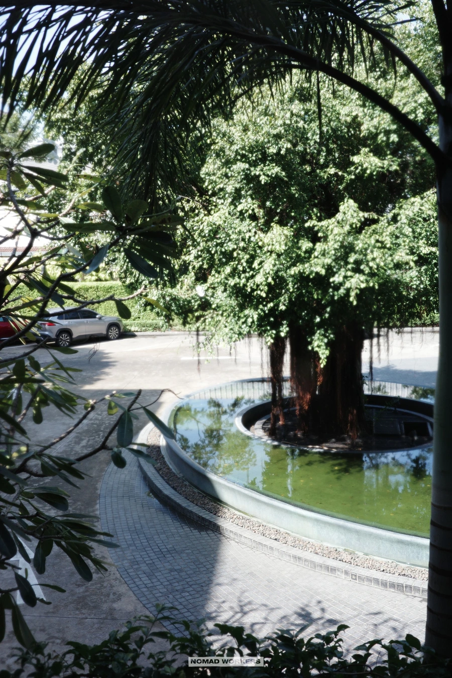 SE-a79d2273-805f-408b-8224-1737889f568e.jpg?type=w966