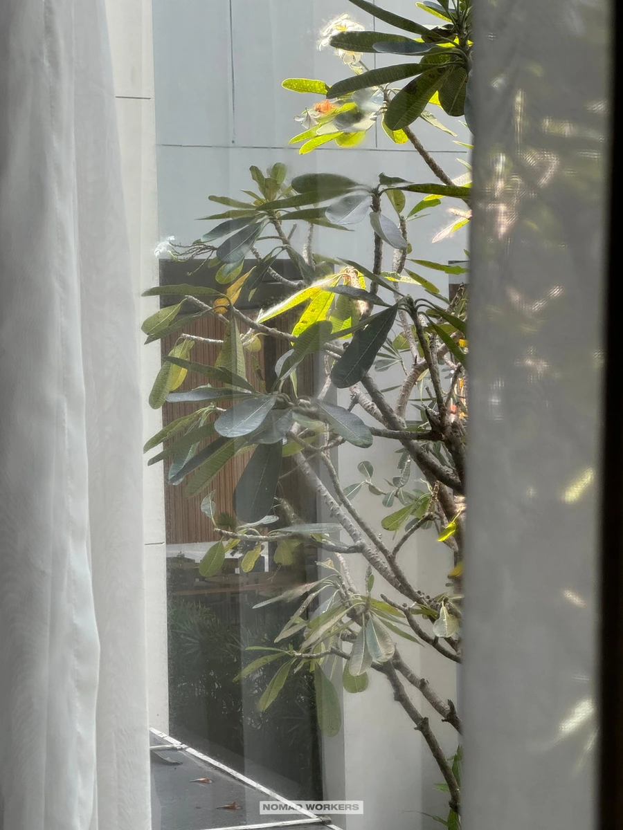 SE-b9f477d9-8c80-4811-99c4-9946b7ba1675.jpg?type=w966