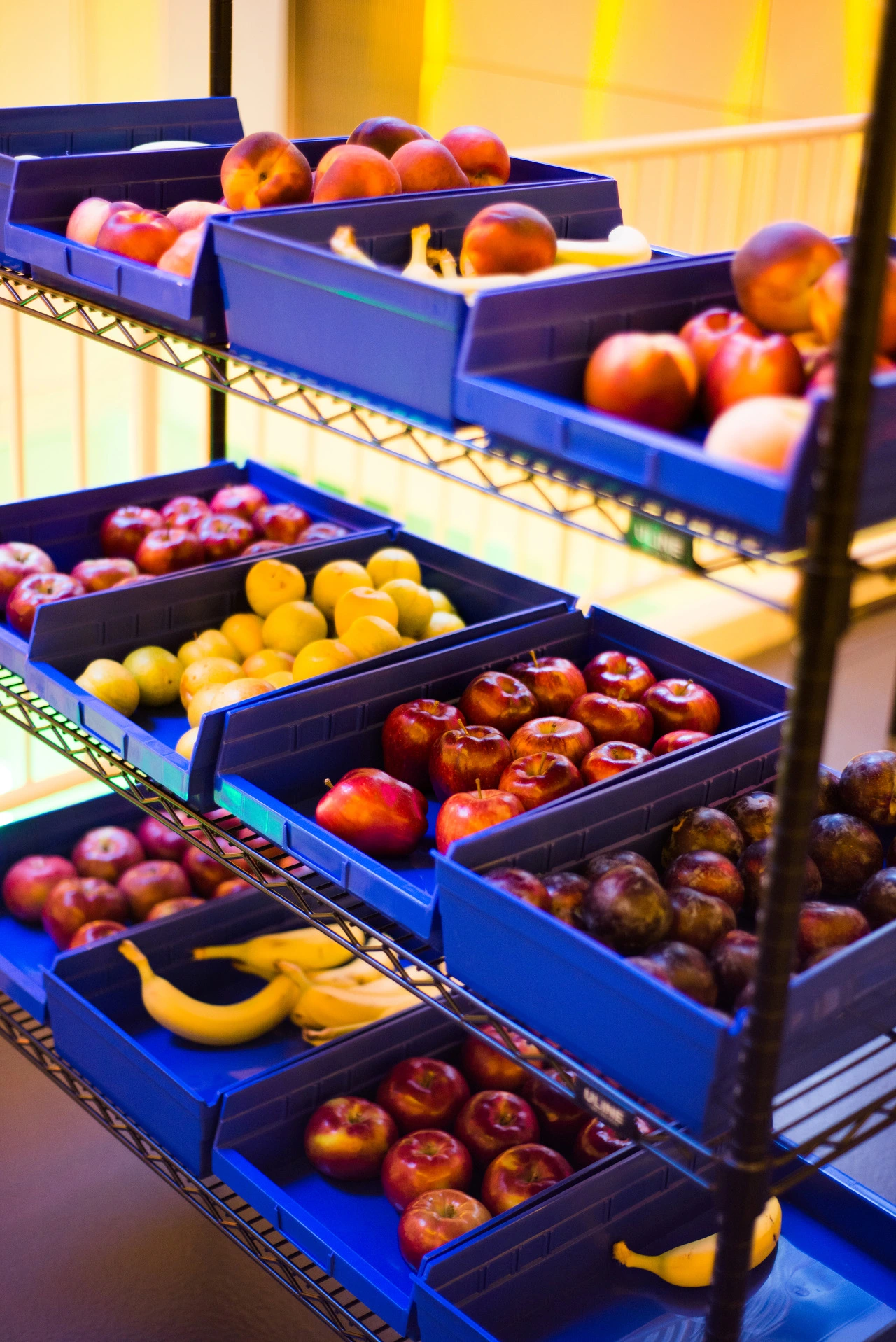 다운로드 (4).jpeg