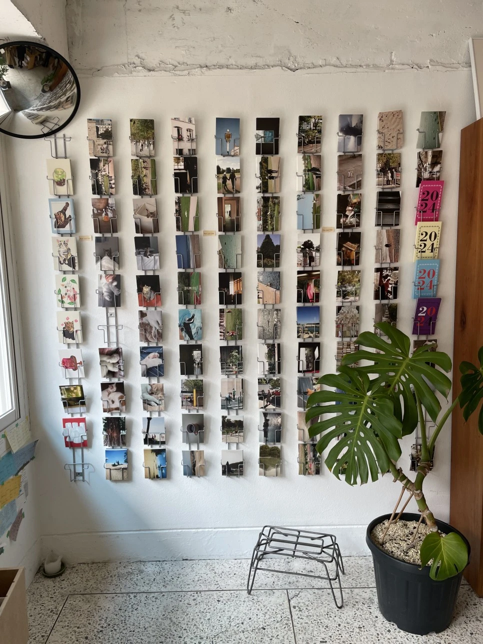 IMG_6254.jpg?type=w966