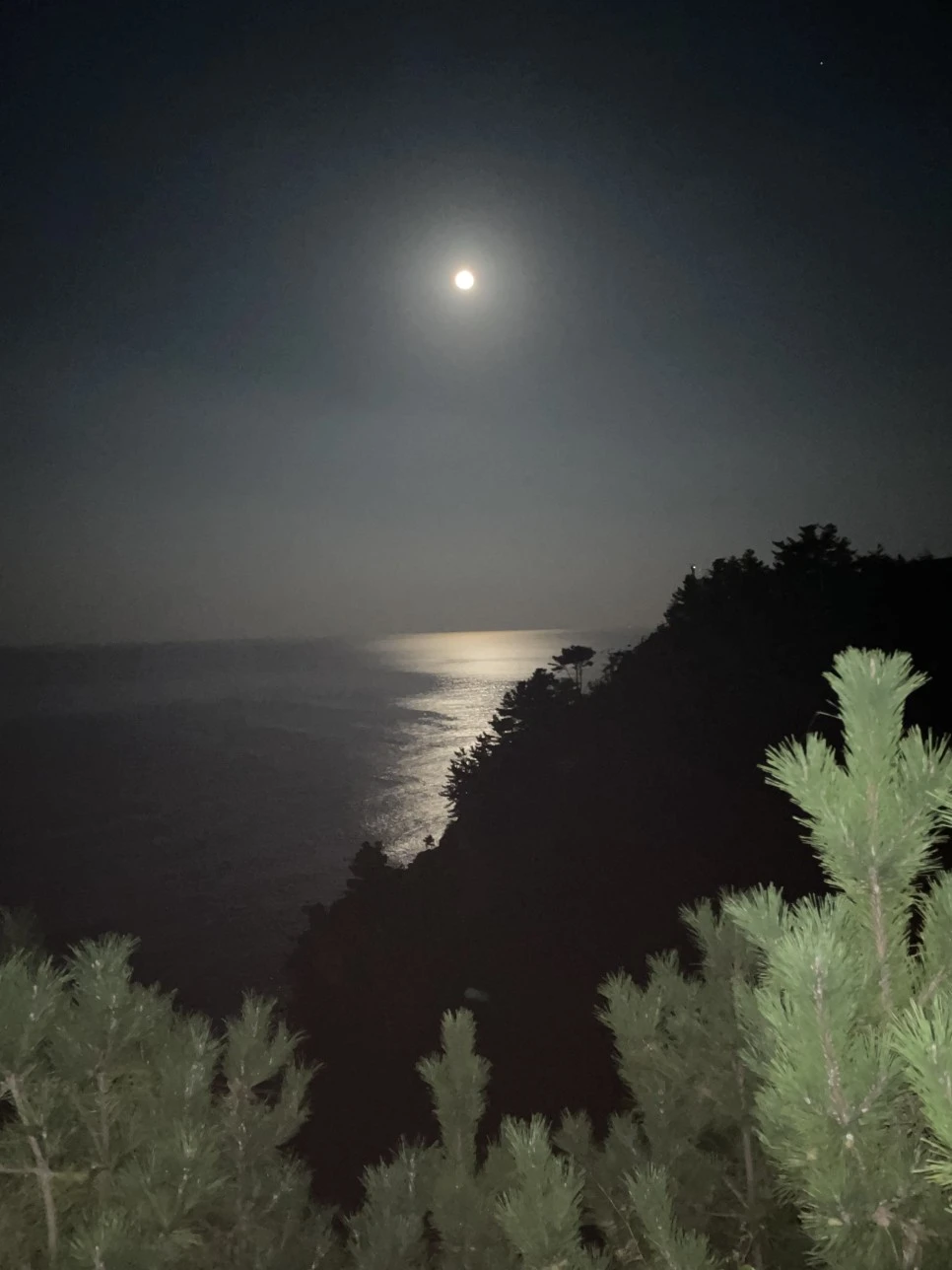 IMG_4951.jpg?type=w966