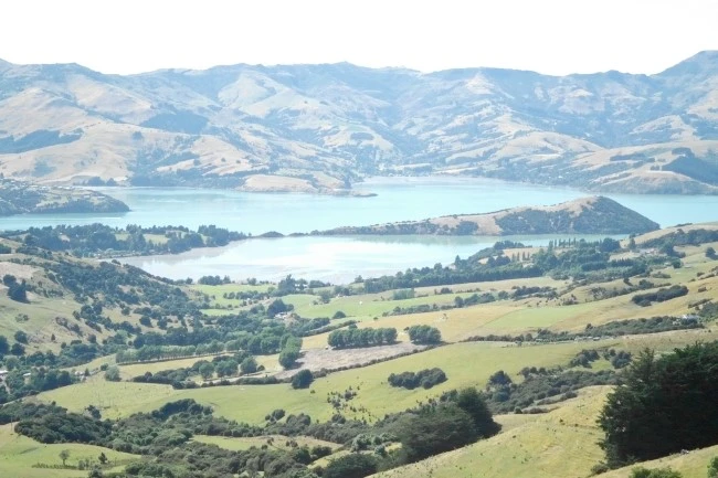 SAM_6170.JPG?type=w1