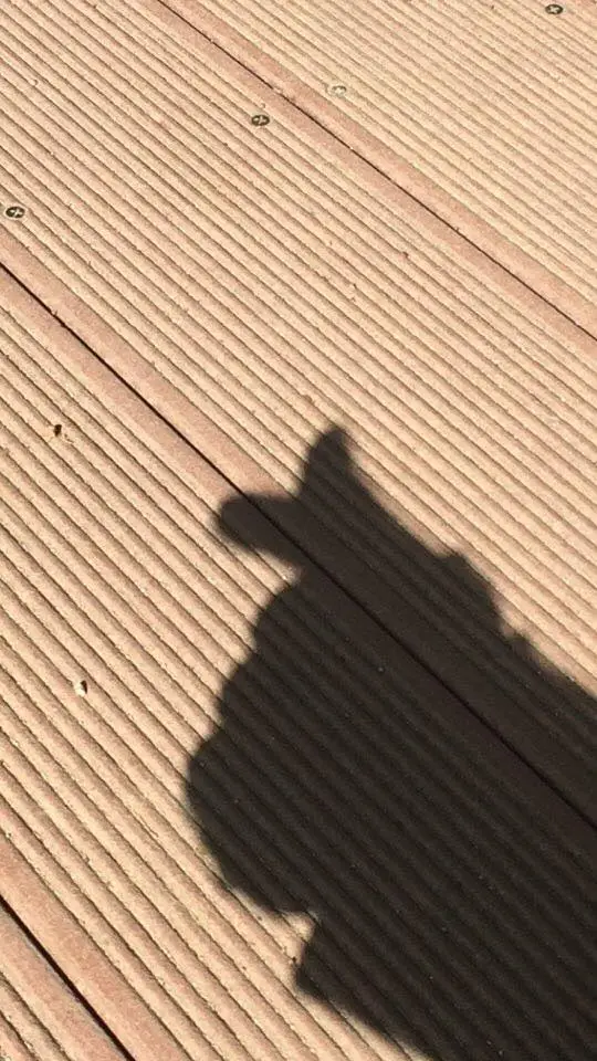 59nm3Ti0yaSro1Een12HAl5vCZU