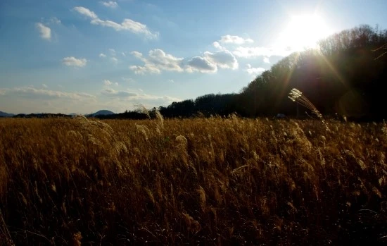 IMGP8864.JPG?type=w1