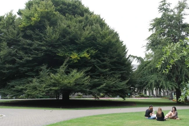 SAM_2356.JPG?type=w1