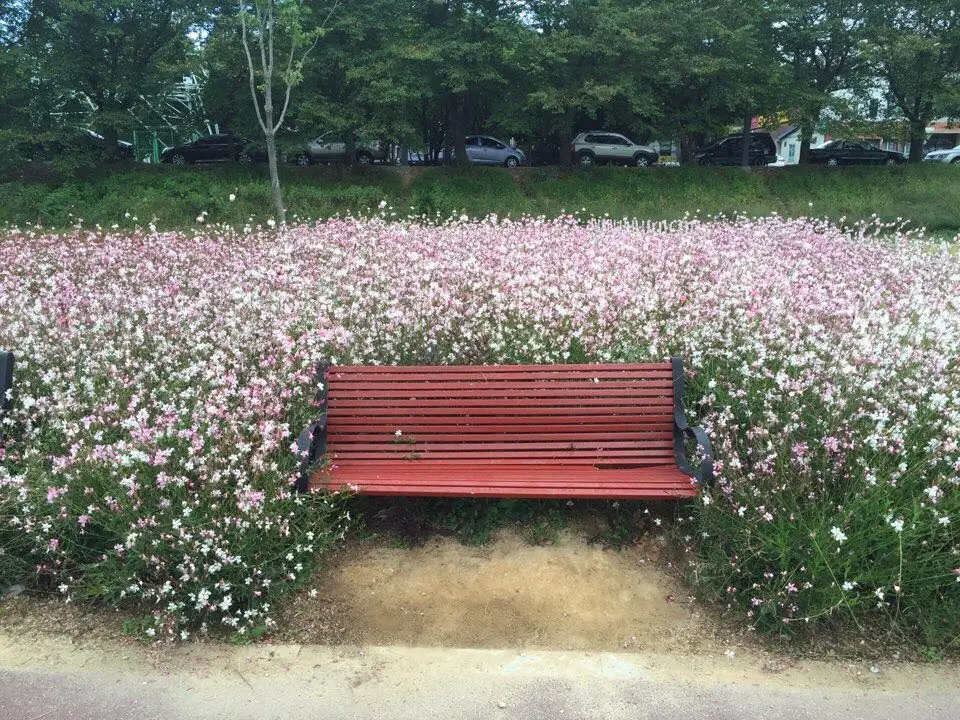 VELElLOhcVdtnP1i-xy2t6dy8II