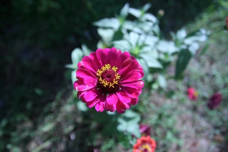 IMG_1098.JPG?type=w1