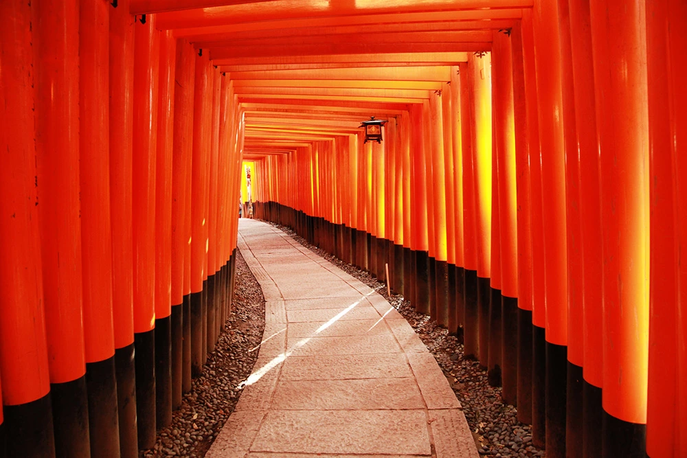 伏見稲荷.jpeg